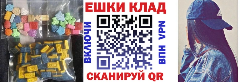 ЭКСТАЗИ Philipp Plein  Купить  Асино 