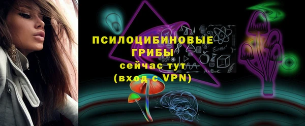 хмурый Дмитриев