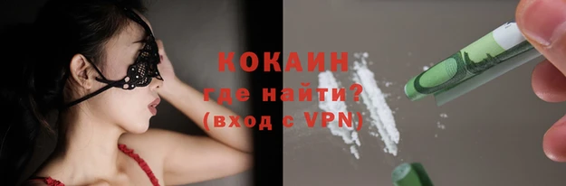 крисы Дмитров