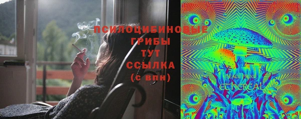 крисы Дмитров