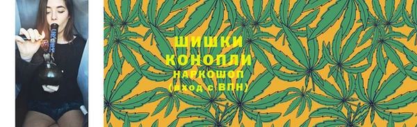 хмурый Дмитриев