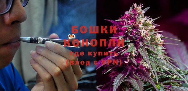 хмурый Дмитриев