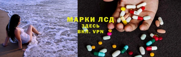 крисы Дмитров